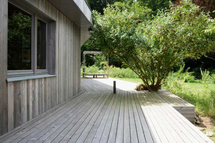 Terrasse mit eingefasster Pflanze und Findlingen Terrasse mit eingefasster Pflanze und Findlingen