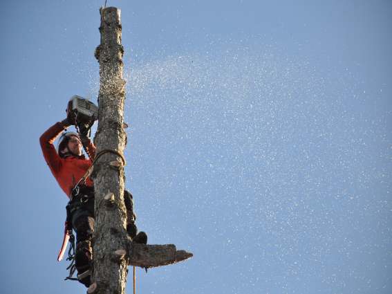 Holzhandwerker